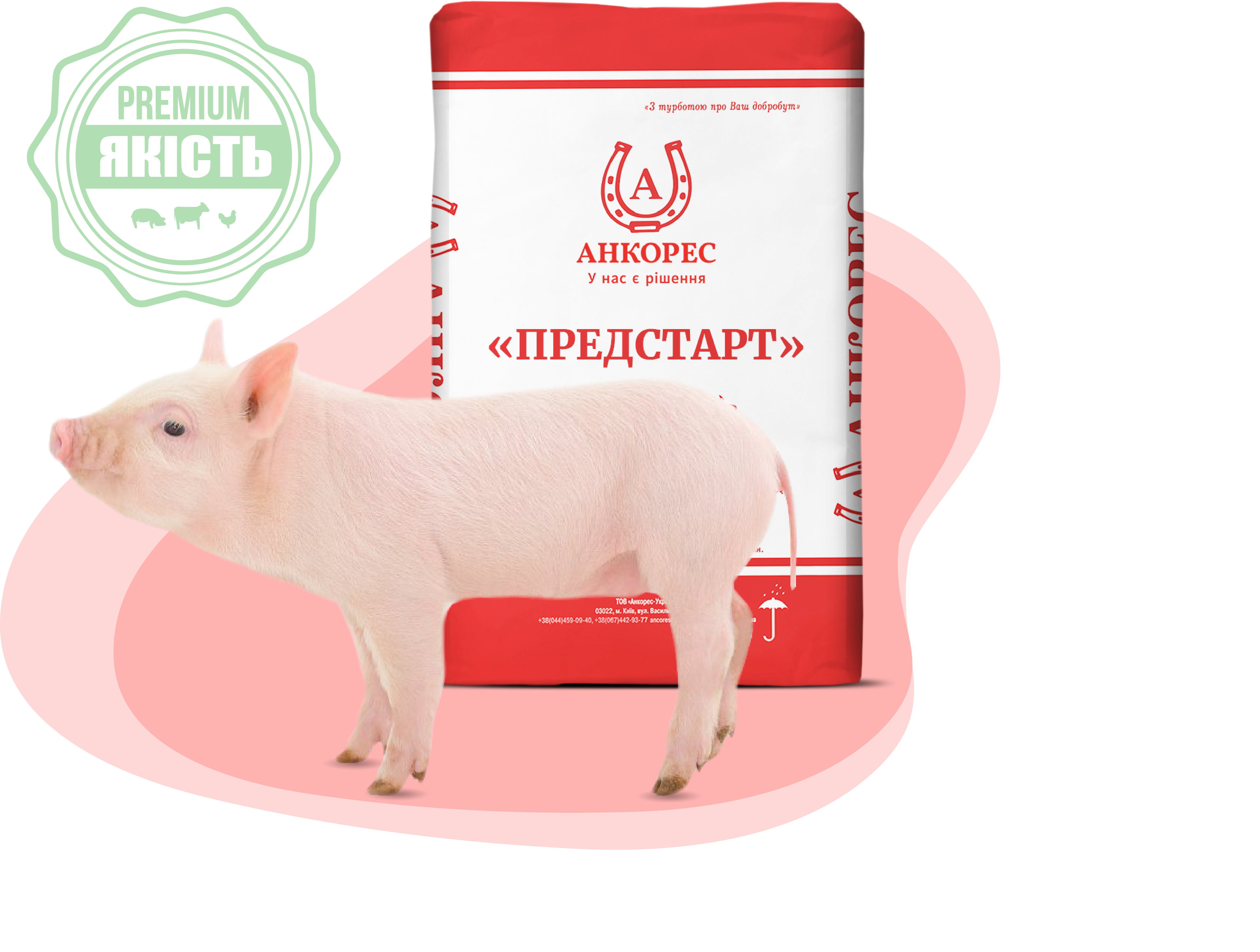 Предстарт 100% - комбікорм для поросят від 2 до 15 кг