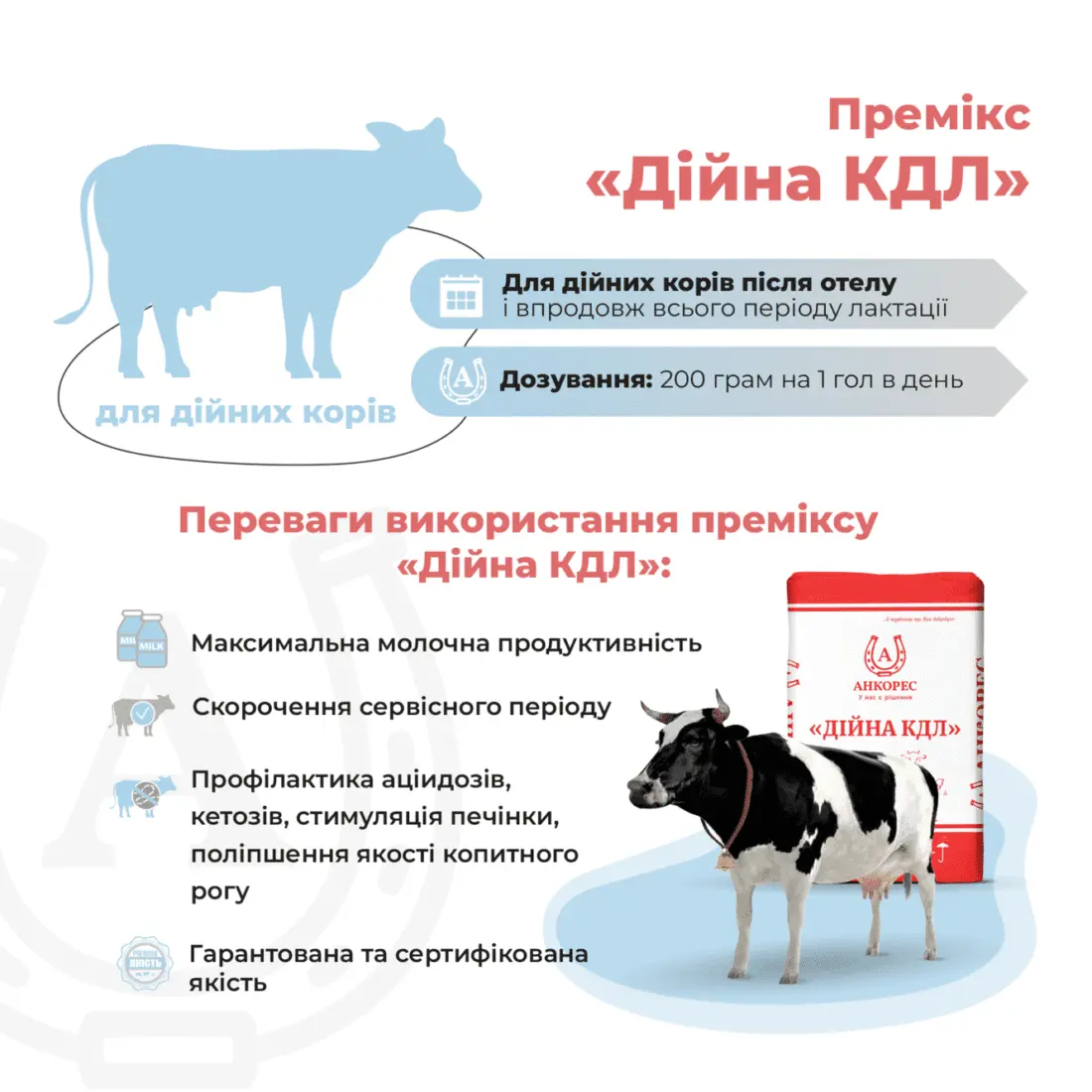 Премікс для дійних корів в період лактації «Дійна КДЛ» Ankores (25кг) - Зображення 2