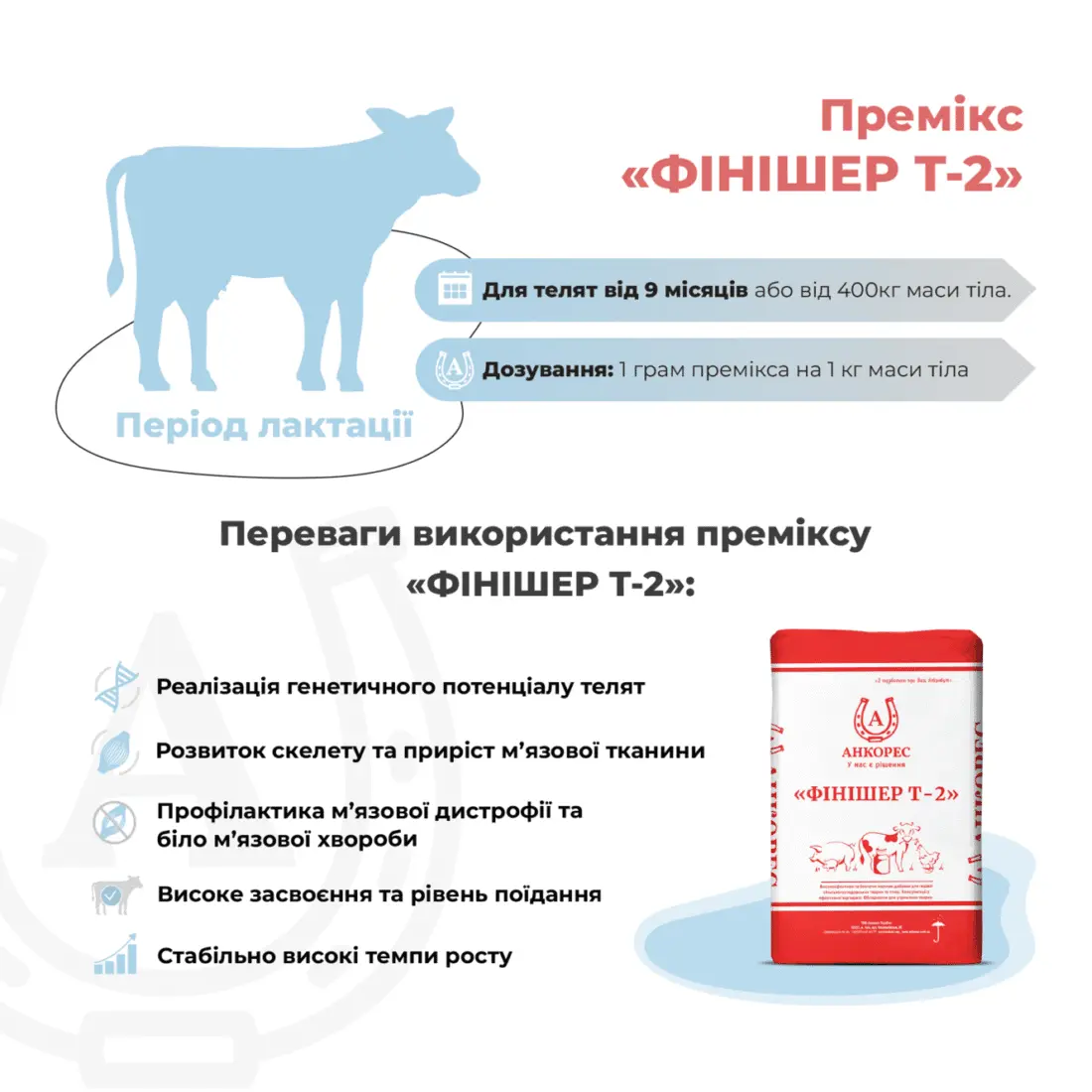 Премікс для молодняка ВРХ від 9 місяців «ФІНІШЕР Т-2» Ankores (25кг) - Зображення 2