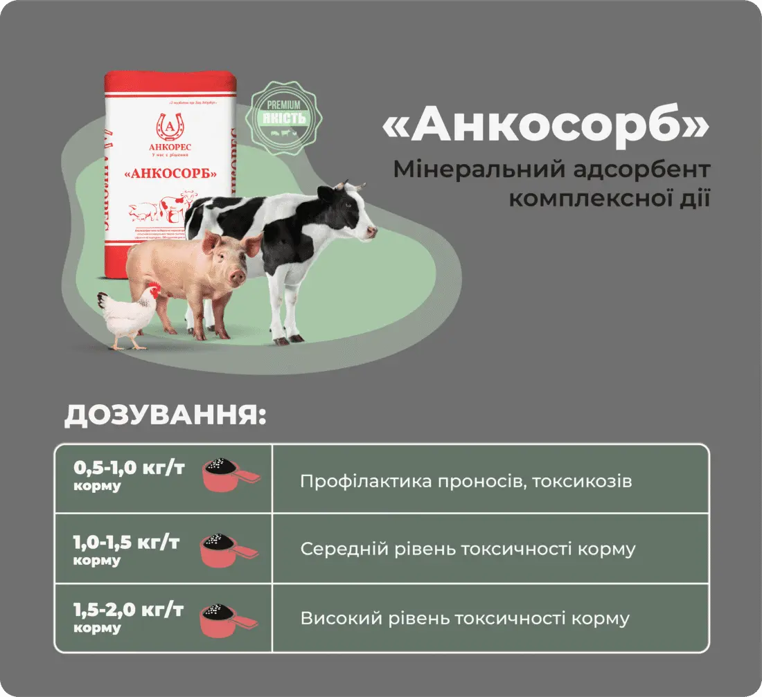 Адсорбент мікотоксинів для свиней, птиці, ВРХ «Анкосорб» Ankores (10кг) - Зображення 2