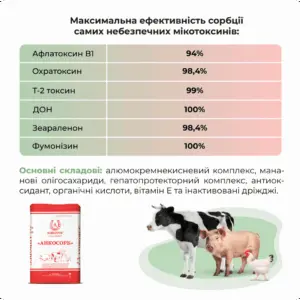Адсорбент мікотоксинів для свиней, птиці, ВРХ «Анкосорб» Ankores (10кг) - Зображення 3