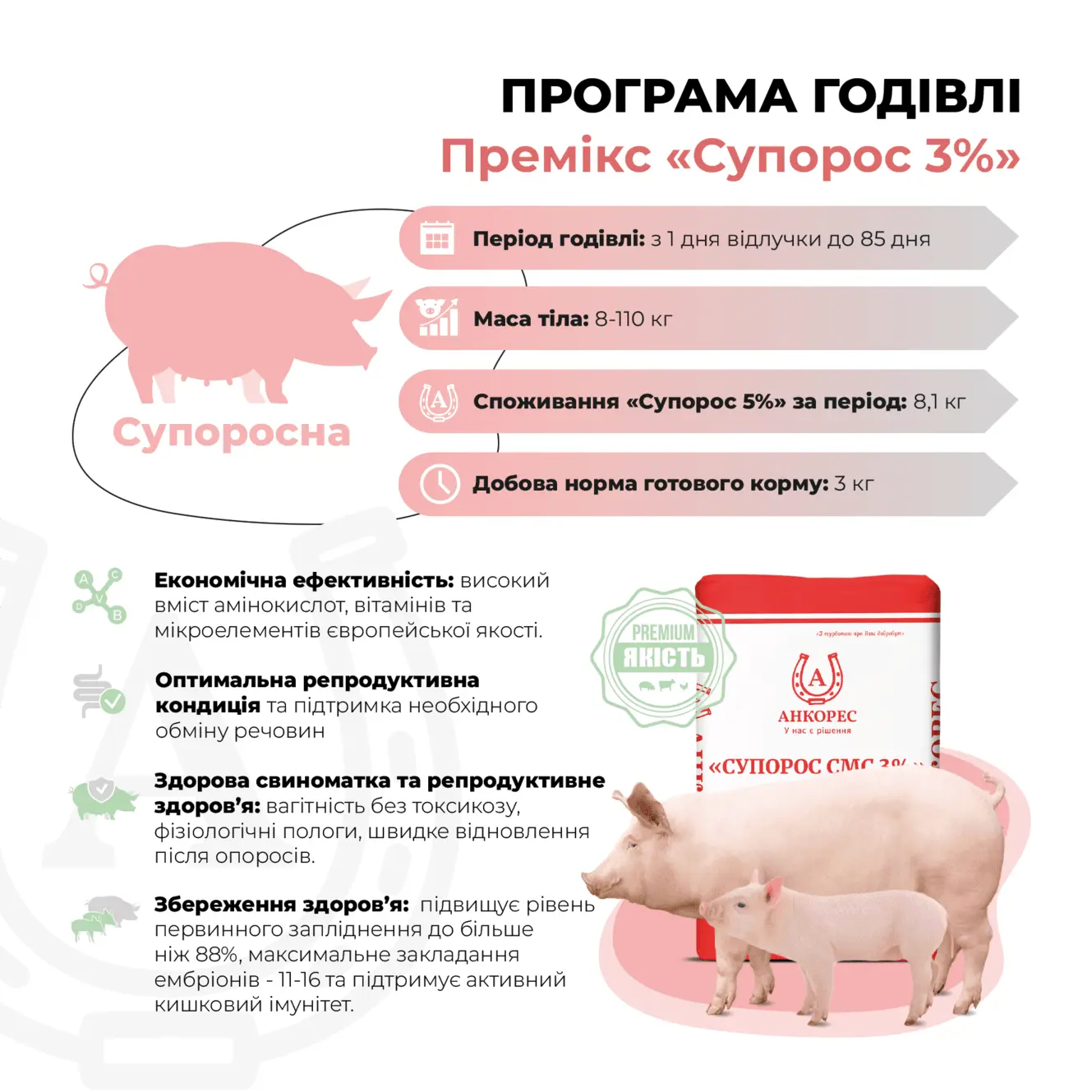 Премікс для свиноматок супоросних «Супорос СМС 3%» Ankores (25кг) - Зображення 2