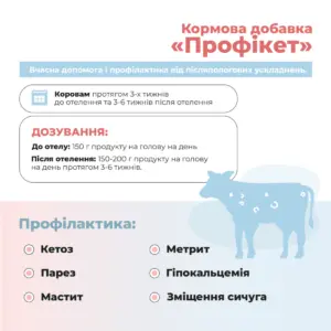 «ПРОФІКЕТ» Ankores для профілактики кетозу та гіпокальцемії (25кг) - Зображення 2