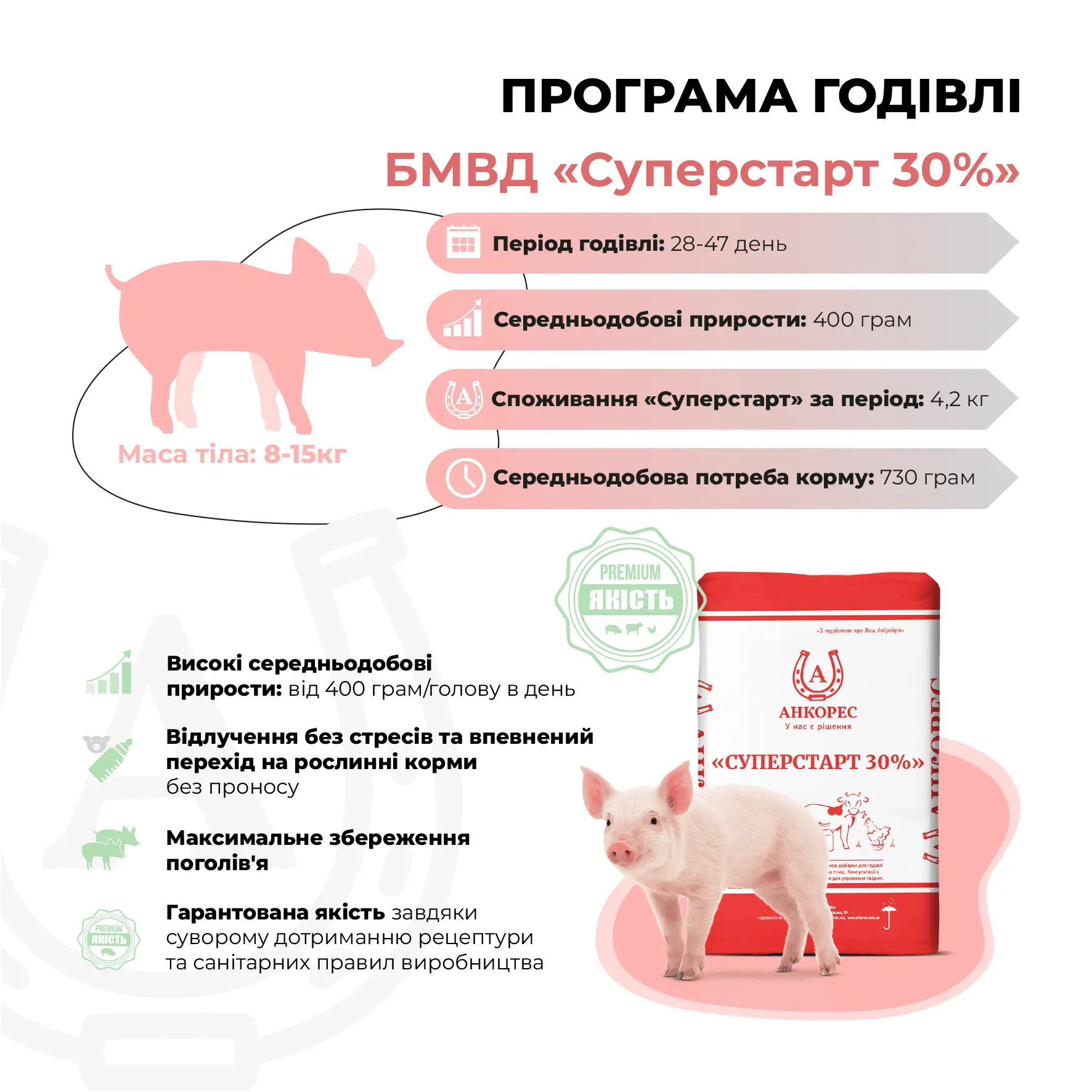 БМВД для поросят від 8 до 15 кг «Суперстарт 30%» Ankores (25кг) - Зображення 2