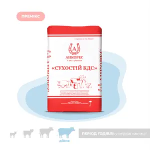 Премікс для дійних корів в період сухостою «Сухостій КДС» Ankores (10кг)