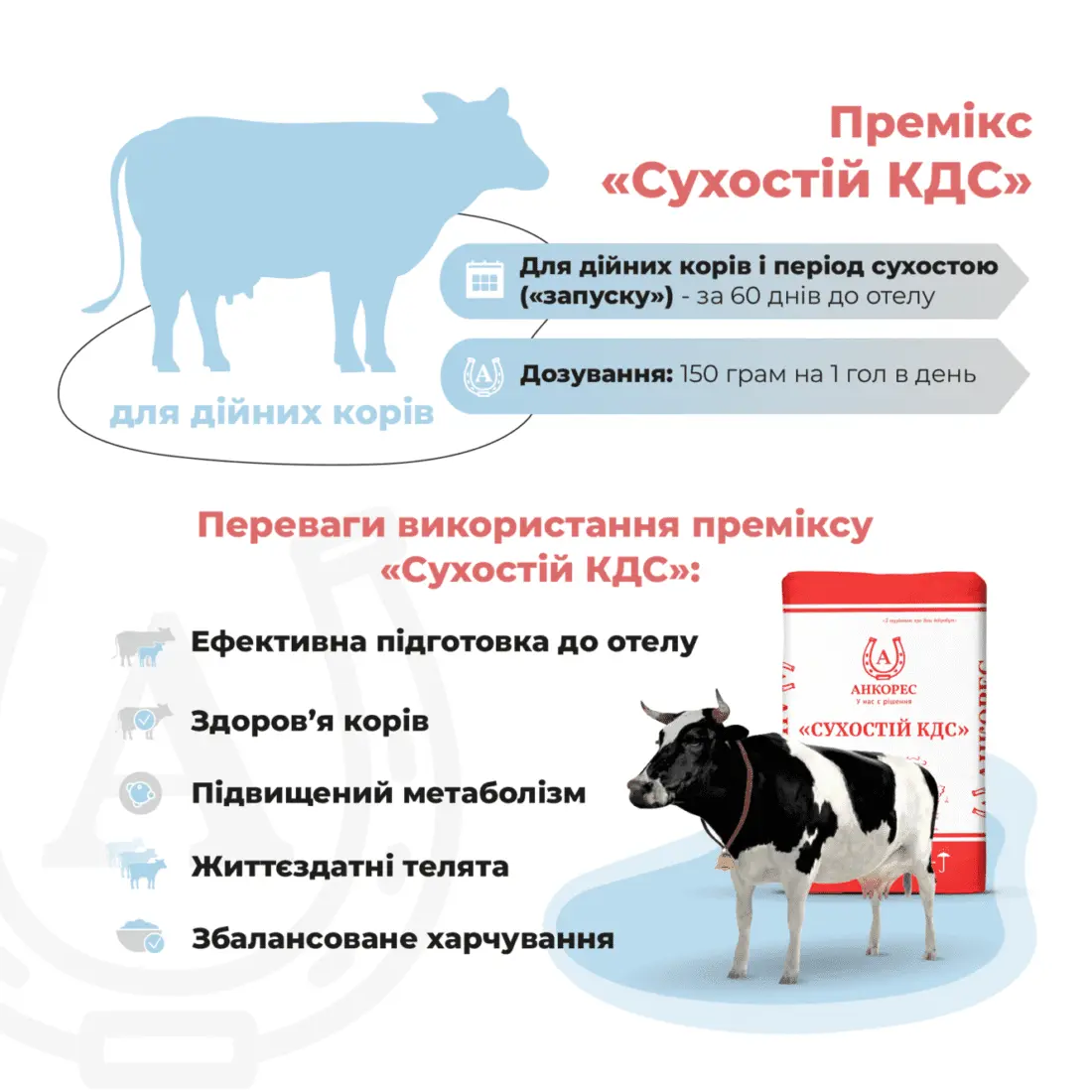 Премікс для дійних корів в період сухостою «Сухостій КДС» Ankores (10кг) - Зображення 2