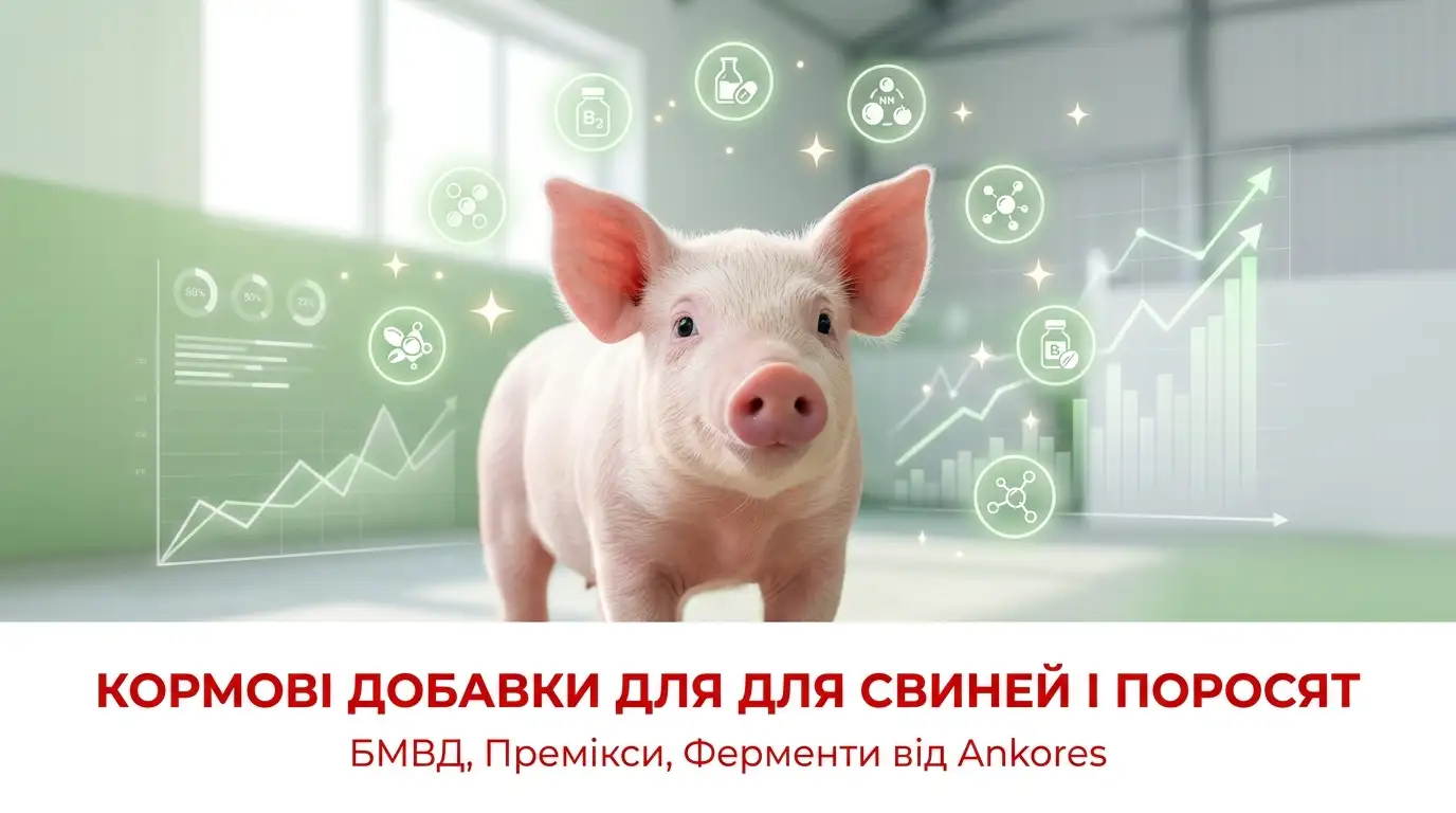 Кормові добавки БМВД, Премікси, Ферменти для свиней і поросят: аналіз болей та прихованих втрат